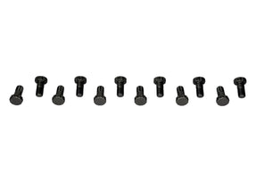 GM 12 Bolt 3/8 Ring Gear Bolt Kit (12 pack)